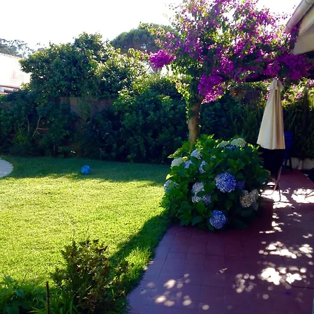 Villa Casa De Com Piscina
