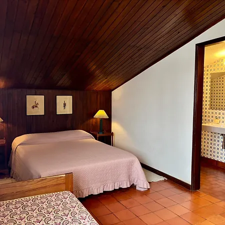 Casa De Com Piscina Arvore